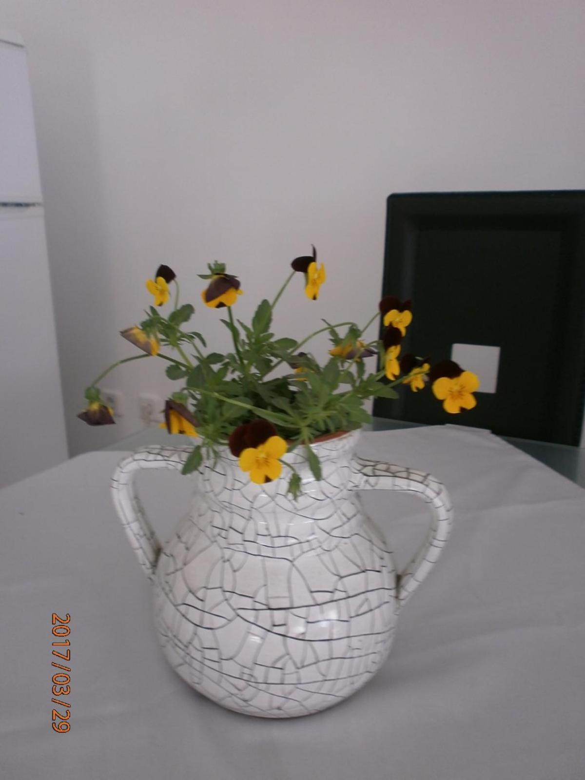 Apartments With A Parking Space Samobor, Prigorje - 12869 客房 照片